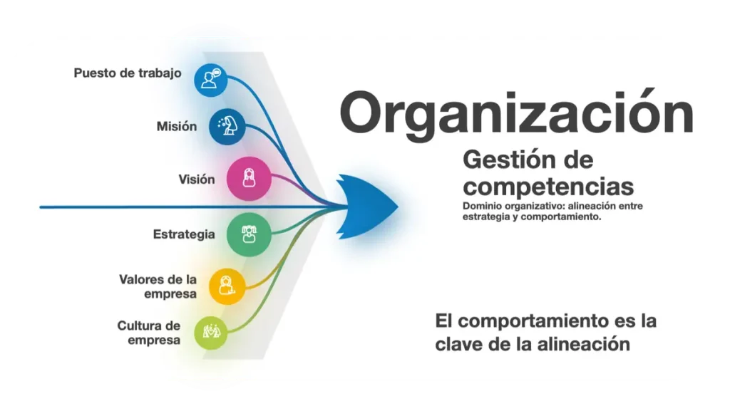 Pruebas Psicometricas